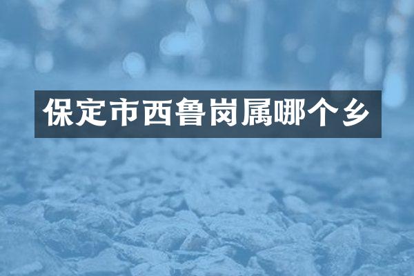 保定市西鲁岗属哪个乡