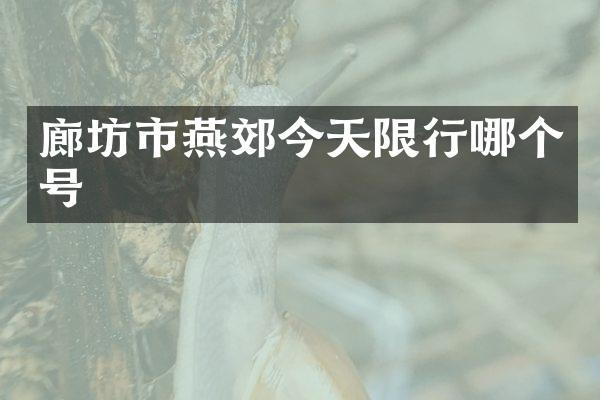 廊坊市燕郊今天限行哪个号