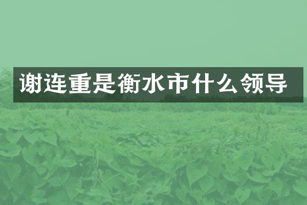 谢连重是衡水市什么领导