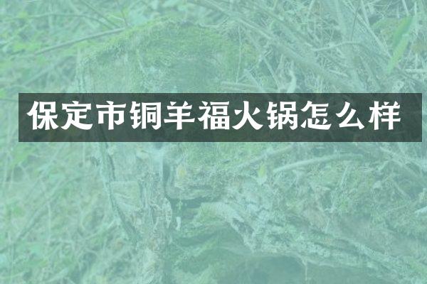 保定市铜羊福火锅怎么样