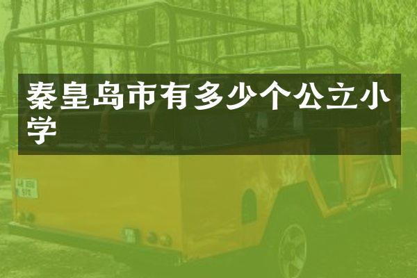 秦皇岛市有多少个公立小学