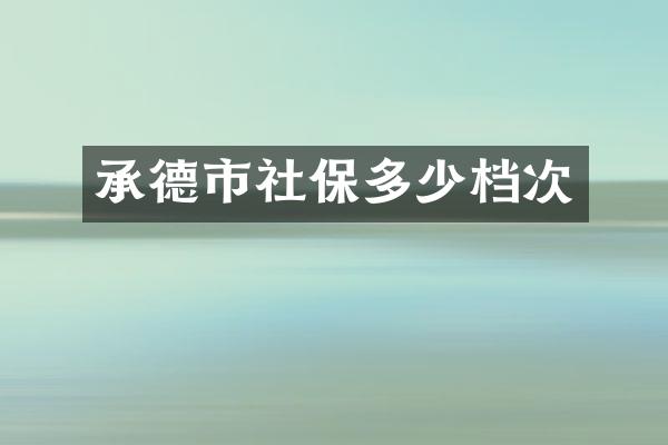 承德市社保多少档次