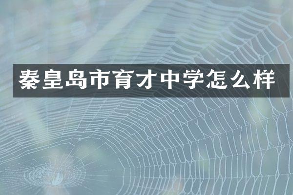 秦皇岛市育才中学怎么样