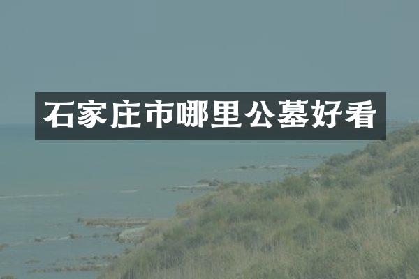 石家庄市哪里公墓好看