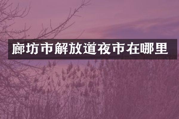 廊坊市解放道夜市在哪里