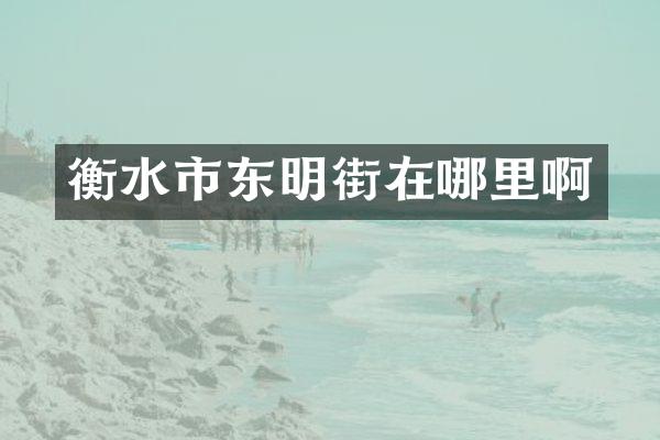 衡水市东明街在哪里啊