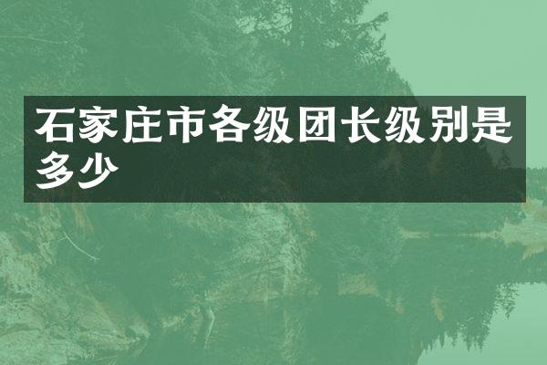 石家庄市各级团长级别是多少