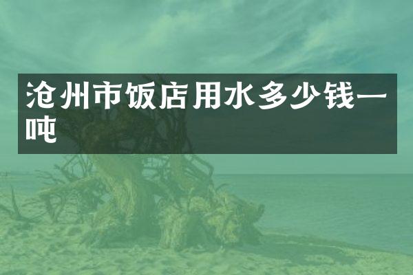 沧州市饭店用水多少钱一吨