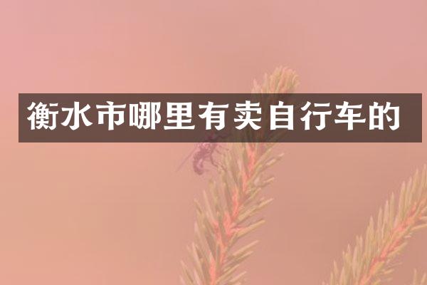 衡水市哪里有卖自行车的