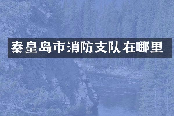 秦皇岛市消防支队在哪里