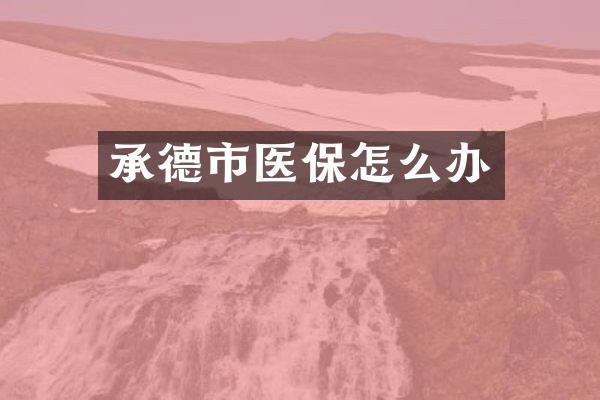 承德市医保怎么办