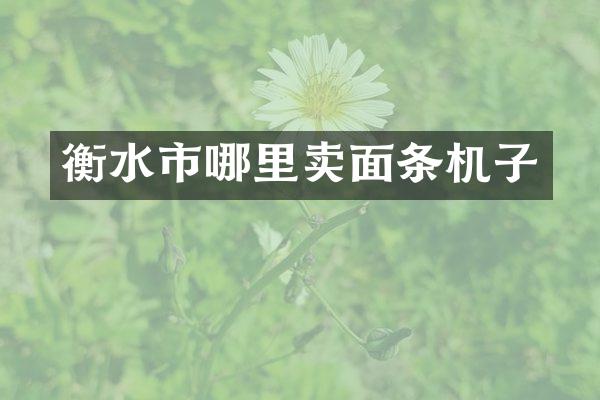 衡水市哪里卖面条机子