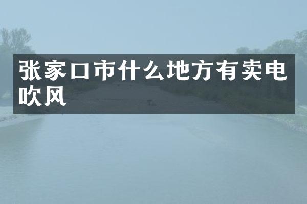 张家口市什么地方有卖电吹风