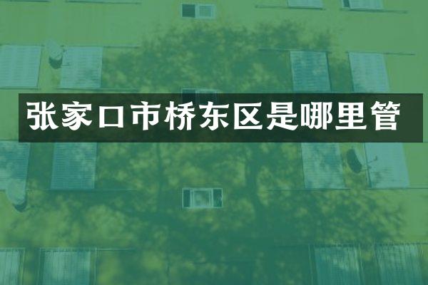 张家口市桥东区是哪里管