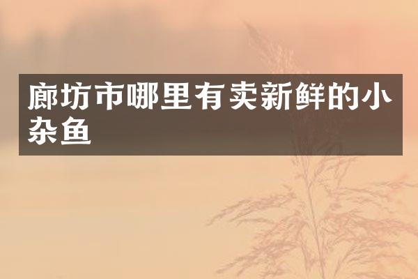 廊坊市哪里有卖新鲜的小杂鱼