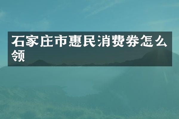 石家庄市惠民消费券怎么领