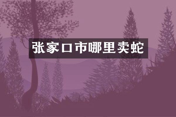 张家口市哪里卖蛇