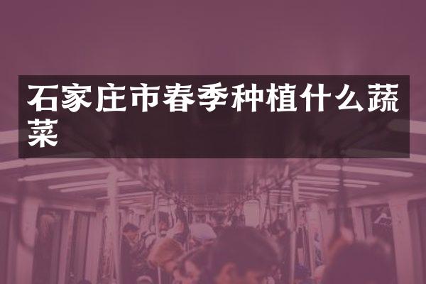 石家庄市春季种植什么蔬菜