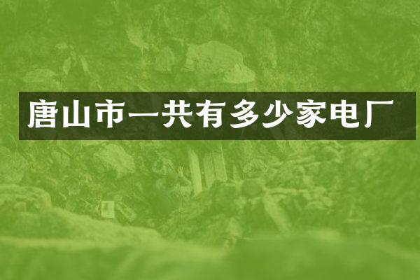 唐山市一共有多少家电厂