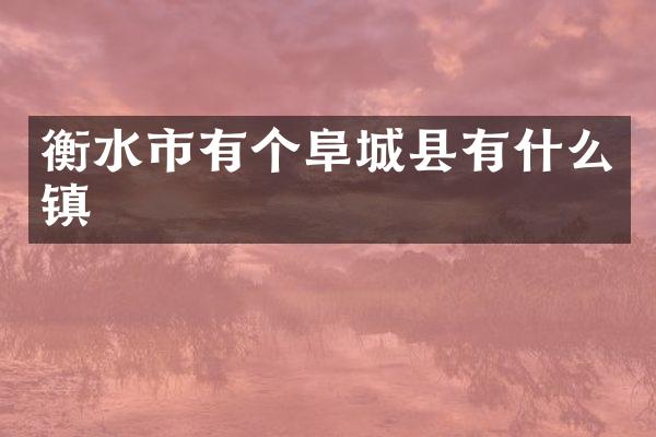 衡水市有个阜城县有什么镇