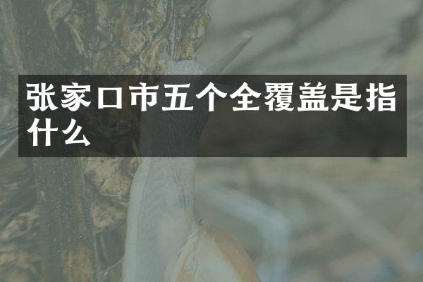 张家口市五个全覆盖是指什么