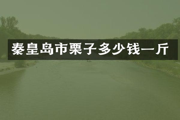 秦皇岛市栗子多少钱一斤