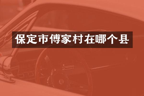 保定市傅家村在哪个县