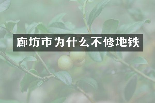 廊坊市为什么不修地铁