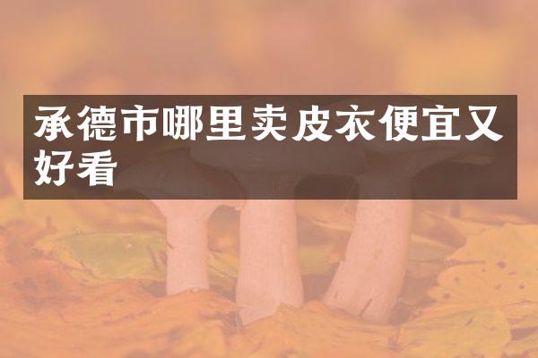 承德市哪里卖皮衣便宜又好看