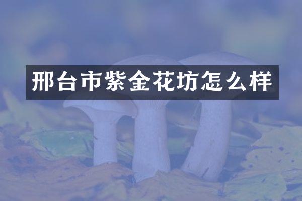 邢台市紫金花坊怎么样