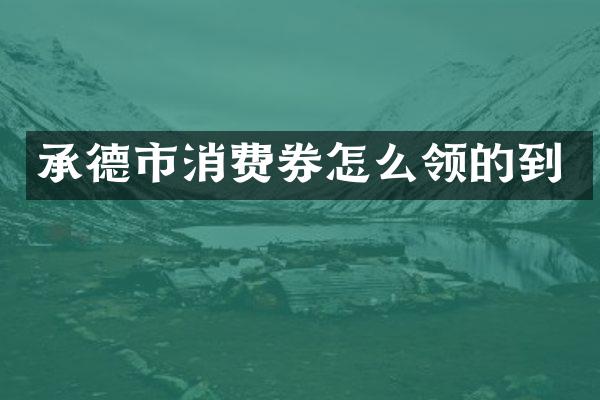 承德市消费券怎么领的到
