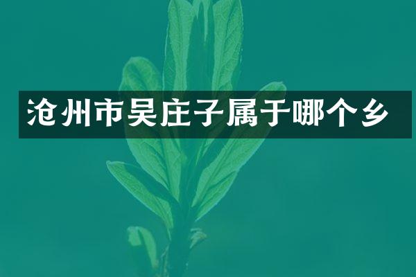沧州市吴庄子属于哪个乡