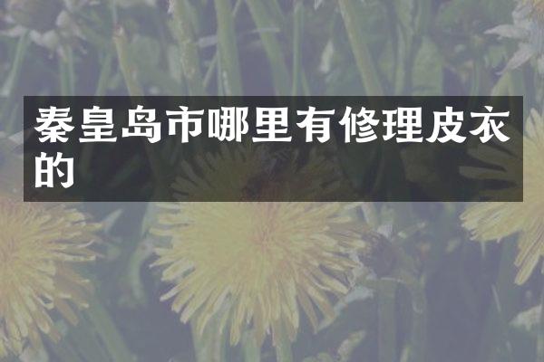 秦皇岛市哪里有修理皮衣的