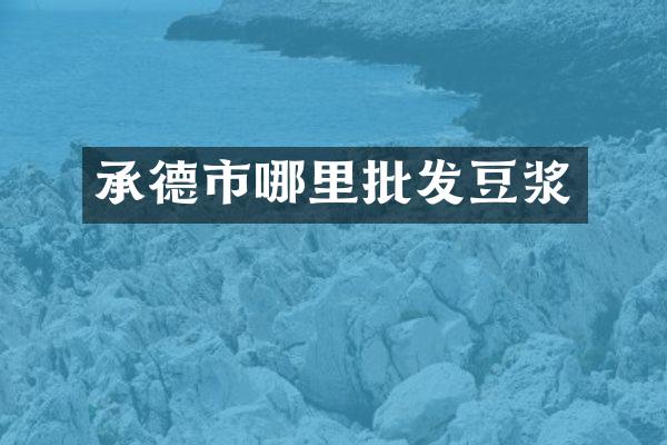 承德市哪里批发豆浆