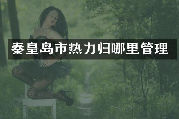 秦皇岛市热力归哪里管理