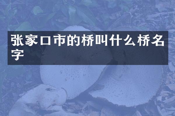 张家口市的桥叫什么桥名字