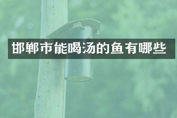邯郸市能喝汤的鱼有哪些