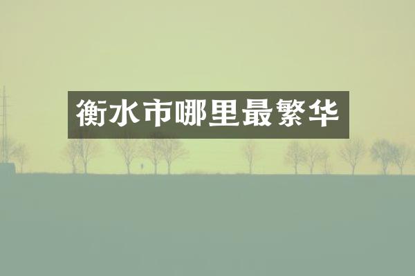 衡水市哪里最繁华