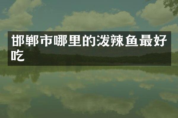 邯郸市哪里的泼辣鱼最好吃
