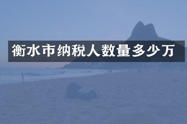 衡水市纳税人数量多少万