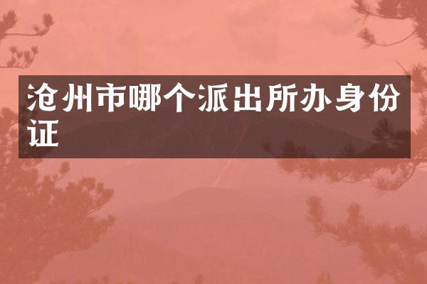 沧州市哪个派出所办身份证