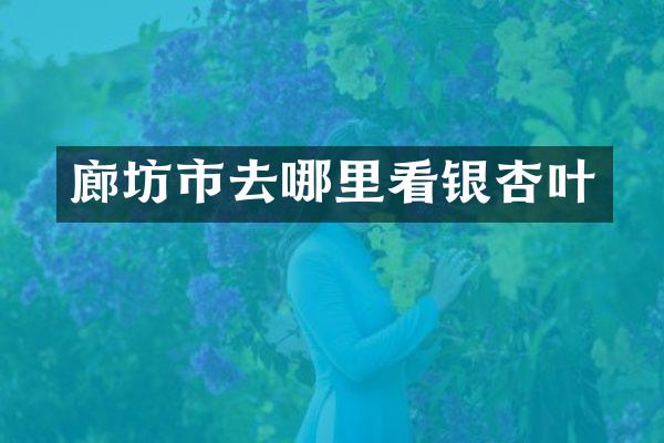 廊坊市去哪里看银杏叶