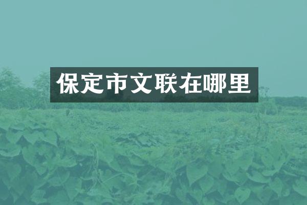 保定市文联在哪里