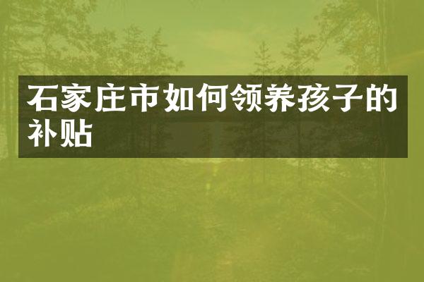 石家庄市如何领养孩子的补贴