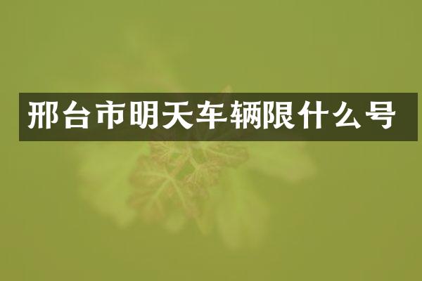 邢台市明天车辆限什么号
