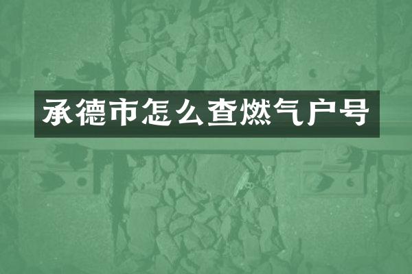 承德市怎么查燃气户号