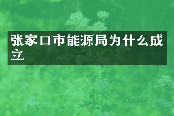 张家口市能源局为什么成立