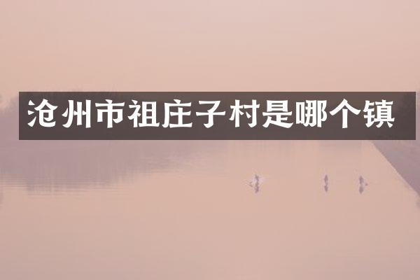 沧州市祖庄子村是哪个镇