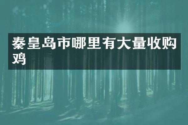 秦皇岛市哪里有大量收购鸡