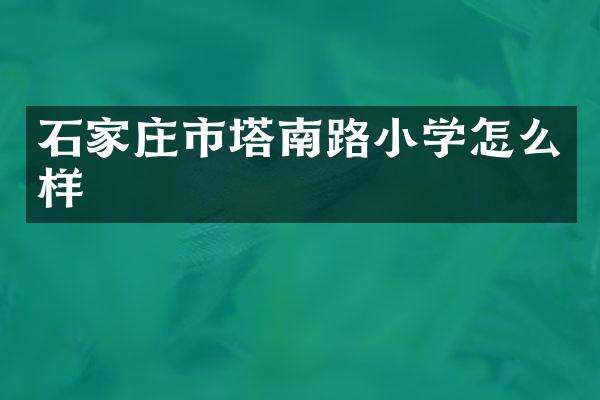 石家庄市塔南路小学怎么样